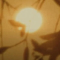 More Life - Single - Dante Marino