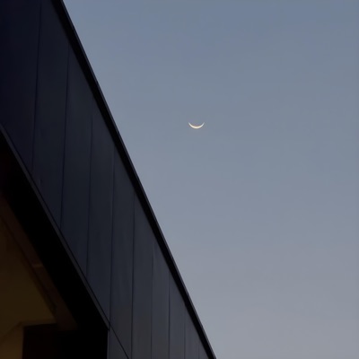 Morning Coffee/Angel - Single