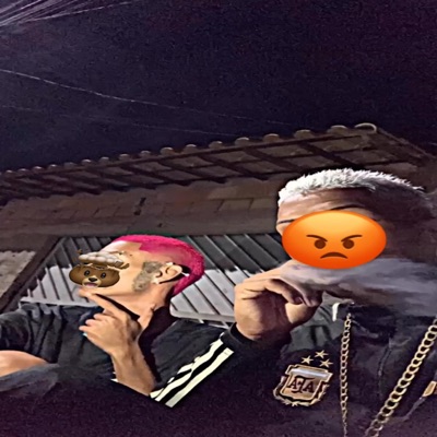 MTG - SE ENVOLVE COM OS CRIA (feat. MC DL 22, MCDa12 & Mc Mr. Bim) - Single