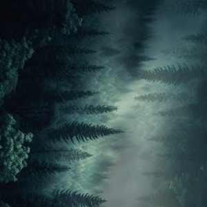 The Sycamore Trail