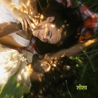 Dekh Dekh Sheesha Sharmandi Firu Su - Single - Altaaf