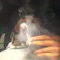 Let's Go - Lil Drebo lyrics