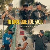 Tu Dice Que Fue Facil (feat. Ronny Rodriguez) - Single - Bujia Lirical