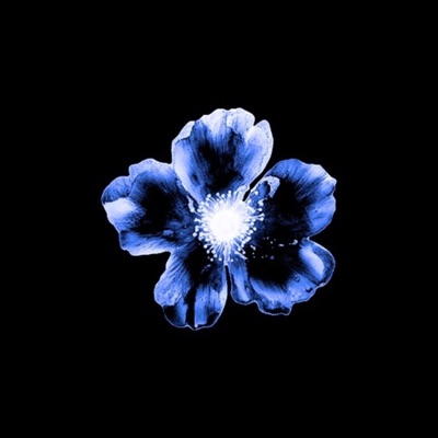 SPUNE-MI (feat. CLAUU) - Single
