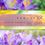 Little Things That Make You Happy - Single
