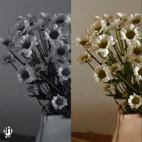 Важно это ты - Single - LYUBI