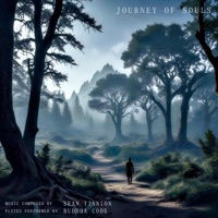 Journey of Souls - Single - Sean Tinnion & Buddha Code