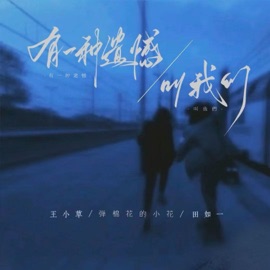 有一种遗憾叫我们 (伤感合唱版) A small flower playing cotton & 王小草