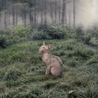 MONACO (with LZee) - Single - Anna Sofia