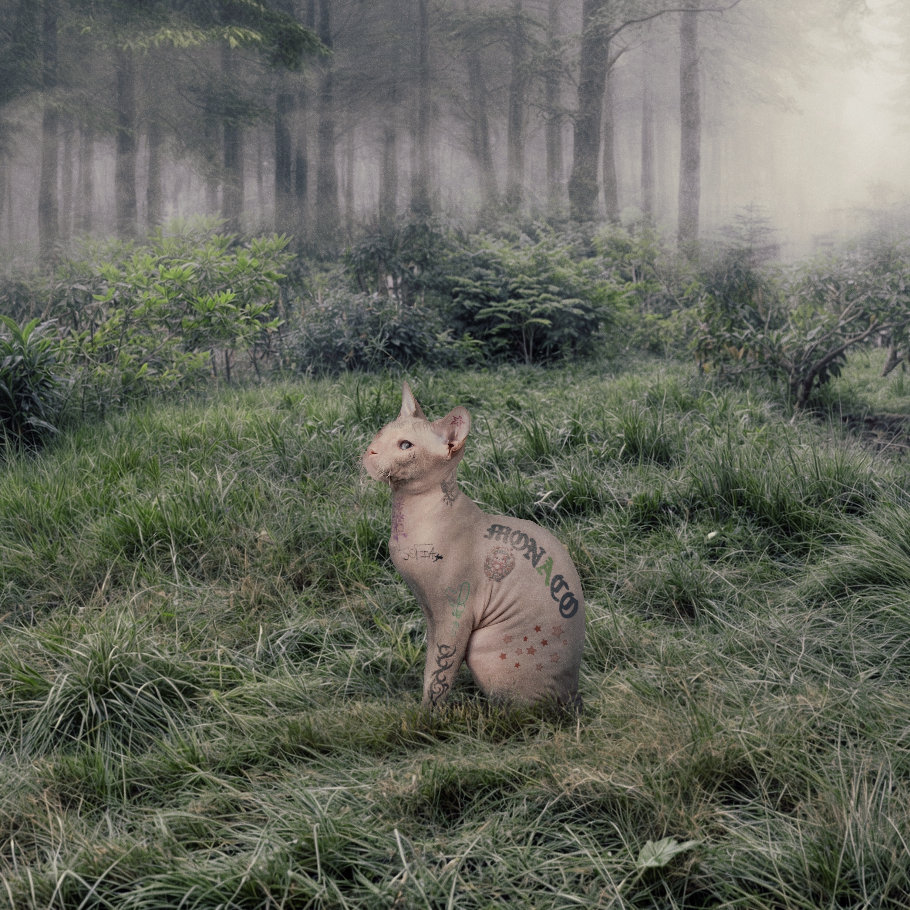 MONACO (with LZee) - Single