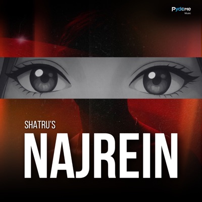 Najrein - Single