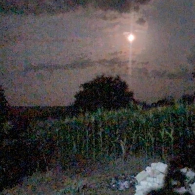 Grain (feat. Mikey) - Single