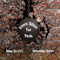 Knock Down The Flesh (feat. Nehemiah Daniel) - Single - Robb Da Lit3
