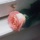 No photo