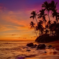 Cry Freely - Single - Opie