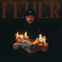 Feuer (feat. Dj Crum) - Single - Bassy