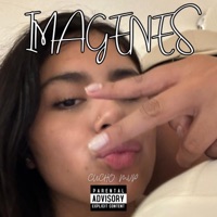 Imagenes - Single - CUCHO MVP