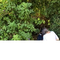 holding on (feat. swords2) - Single - Cranes