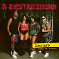 A DESTRUIDORA