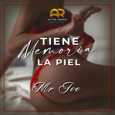 Tiene Memoria La Piel (feat. Mr.Joe) - Single