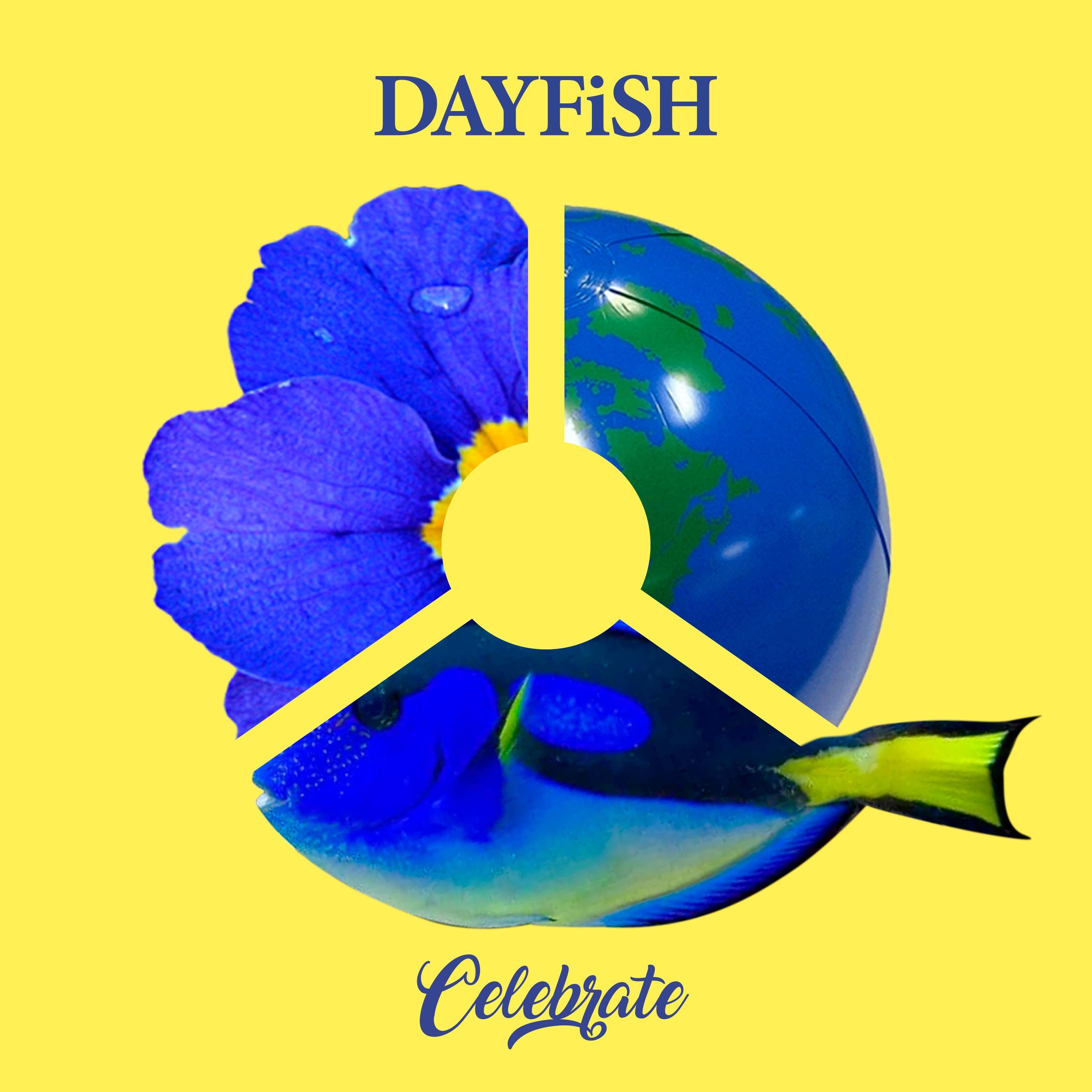Celebrate - Single