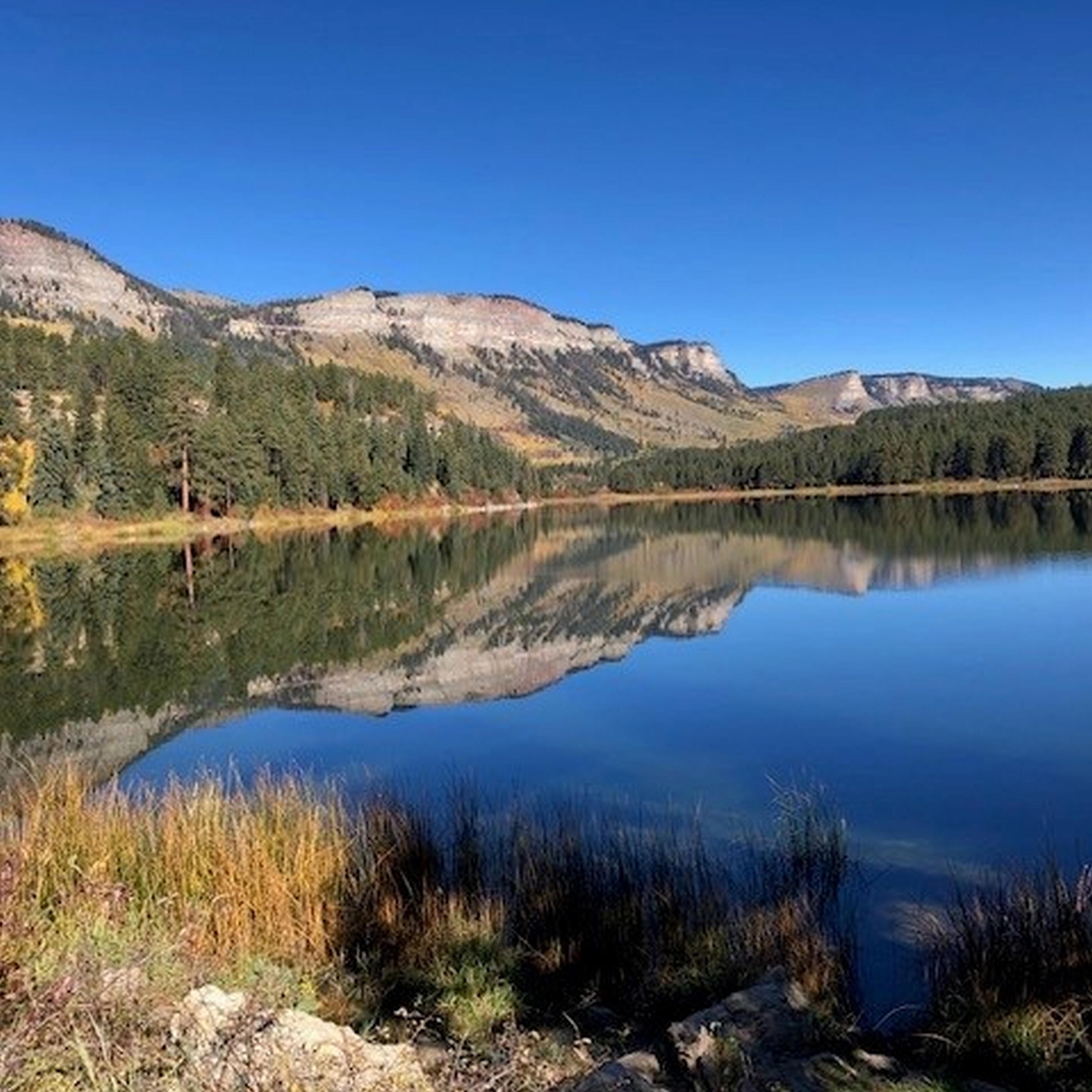 Something is missing - Single