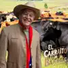 Una Parranda en Barinas