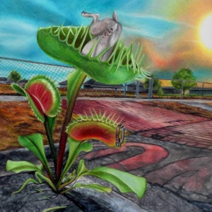 Carnivore