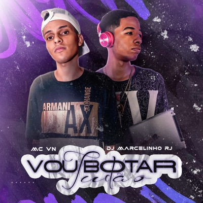 Vou Botar Tudão - Single