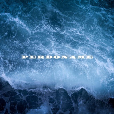 PERDONAME - Single