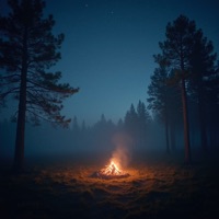 Starlit Tenderness - Single - Duskflow & Sleeping Pill