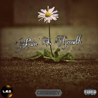 Pain Is Growth - EP