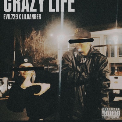 Crazy Life - Single
