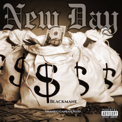 New Day (feat. Shanko Ganjah Seed) - Single