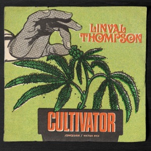 Cultivator - Single