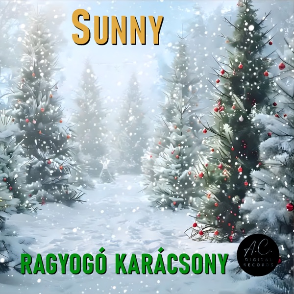 Ragyogó Karácsony - EP