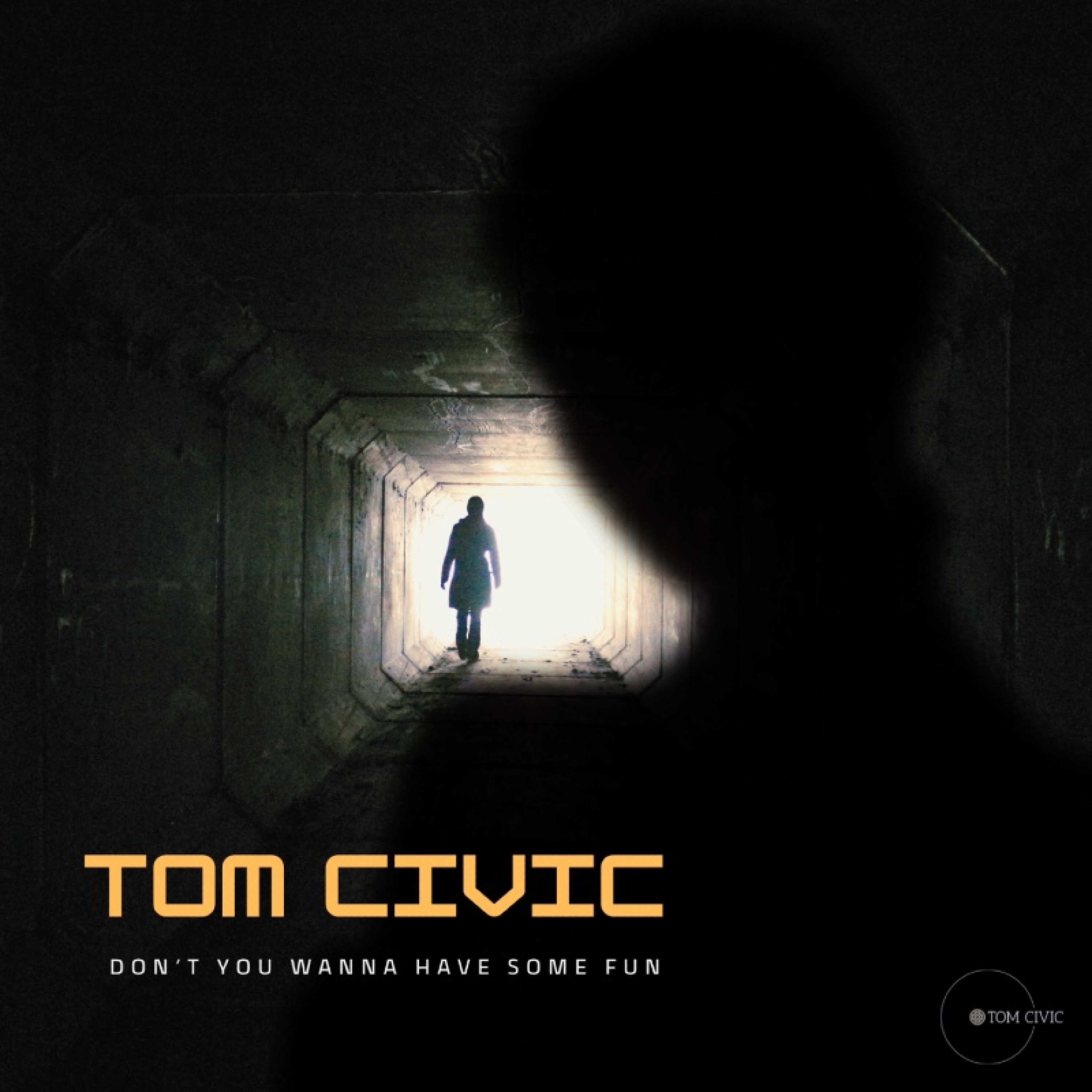 Don't You Wanna Have Some Fun - Single