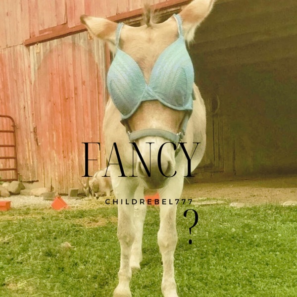 Fancy? (feat. Sos bert)