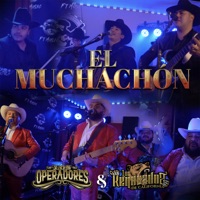 El Muchachon (En Vivo) - Single - Los Renovados De California & Los Operadores