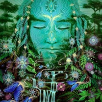 Montaña Andina - Single - Delady, J.Pool & Piero Brignole