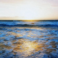 Hunting for... - Single - Taliban Mari