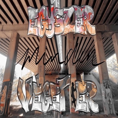 Egyszer Minden Véget Ér (feat. SRN) - Single