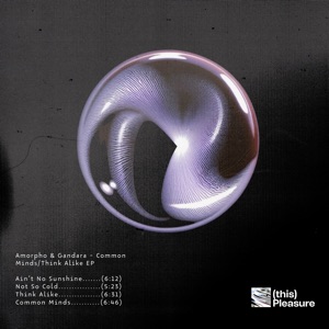 Common Minds / Think Alike - EP
