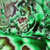 Tbu - Single - luhC2