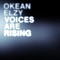 Voices Are Rising artwork