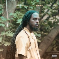 Plagued - Single - Chaarataza Thalmayad