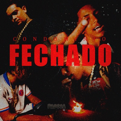 Condominio Fechado - Single