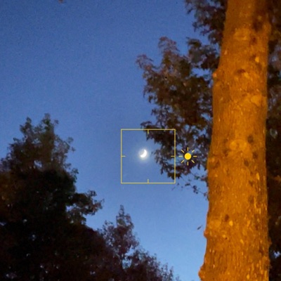 come back to you (feat. Sorisu) - Single