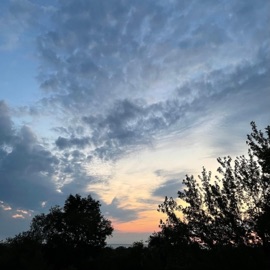 everything is fine michaeljay