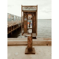 Independence Song - Single - Rami Winston